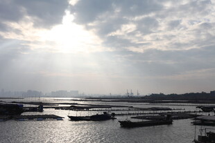 阳光照耀下的宁静港口