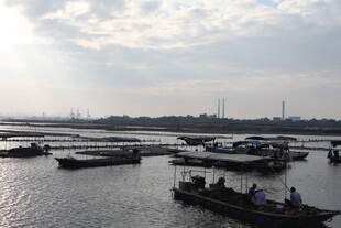 港口船只停泊景象