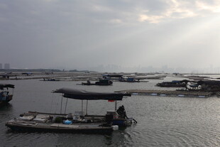 水上小船与岸边景象