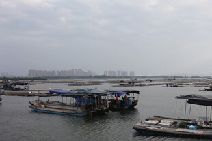 港口停泊的船只景象