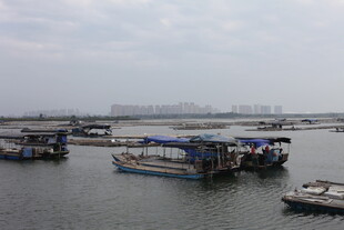 水上停泊的船只景观