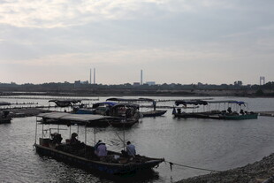 河畔停泊的船只景观