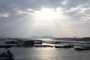 海上日出洒金波光粼粼