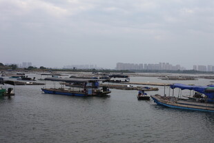 港湾停泊的多彩船只