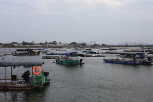 水上停泊的多彩船只