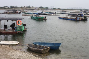 岸边停泊的多彩小船