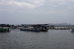 港湾中的停泊船只