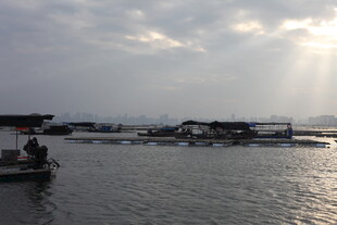 湖畔船只在光影下的景致