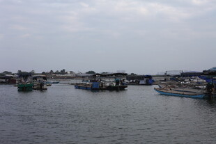 水上停泊的船只景观