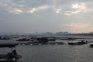 黄昏海港渔船景象