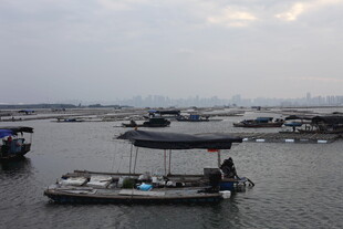 港口停泊船只景象