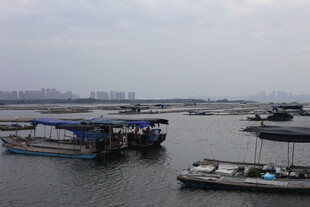 水上停泊的多艘船只