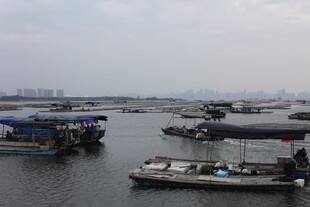 水上停泊的船只景观