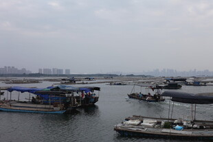 港口停泊船只景象