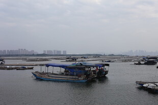 水上停泊的船只景观