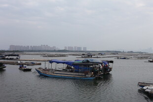 港口停泊的多艘作业船只