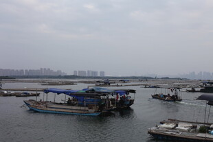 港口停泊的多艘船只