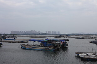 宁静港湾中的停泊船只