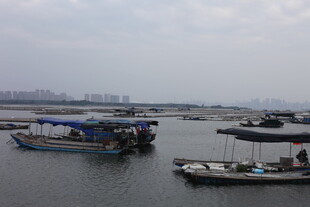 港湾中的停泊船只