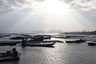 海港晨光中的停泊船只