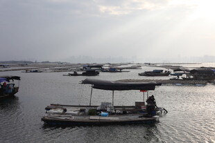 水上船只停泊的静谧场景