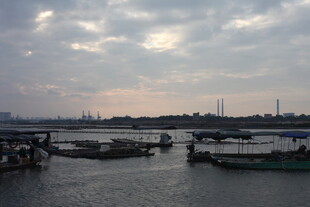 黄昏下的宁静河畔景象