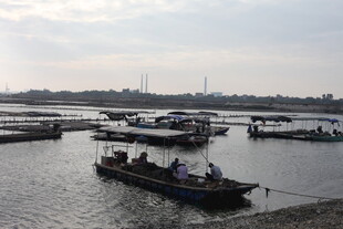 水上码头船只停泊景象