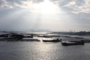 阳光照耀下的宁静水域