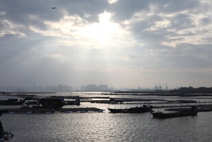 阳光洒照下的宁静水域