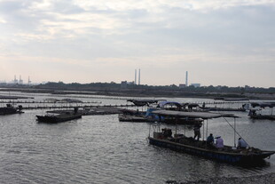 河上船只停泊景象