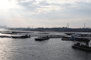 港口船只停泊景象