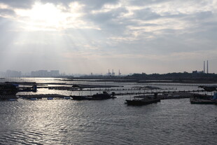 河畔船只与洒下的阳光