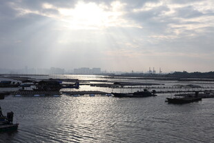 海上晨光中的船只景象