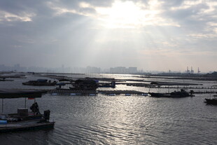 海港晨光下的船只景象