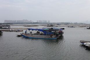 海上停泊的船只