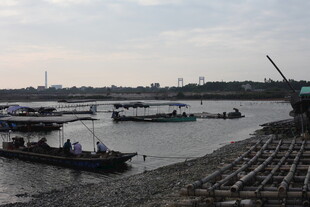 江边停泊的船只景象