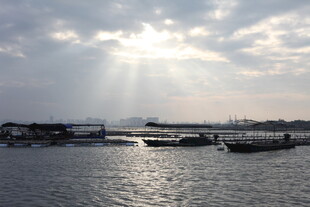 阳光洒落水面的宁静景象