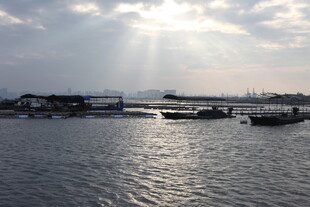 海港晨曦中的船只与码头