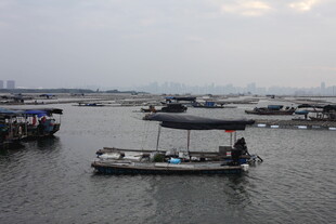 水上停泊的多艘船只