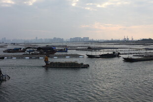 港口船只停泊景象