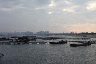 黄昏下的宁静码头景象