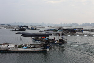 港口船只作业场景