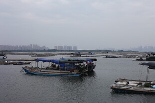 水上停泊的多艘船只