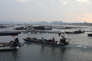 海上渔船航行景象