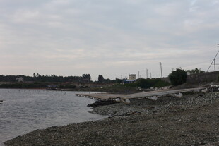 河畔风景 岸边宁静景致