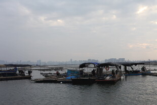 江边停泊的船只景观