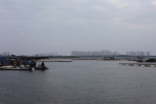 河畔风光 水面与远处建筑