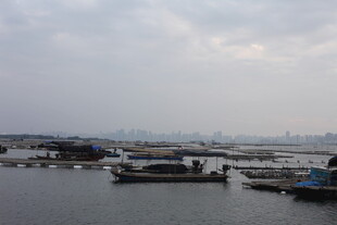 宁静港湾中的停泊船只