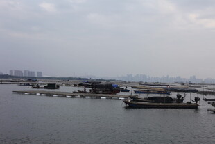 水上船只停泊景象