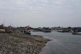 河边村落景象
